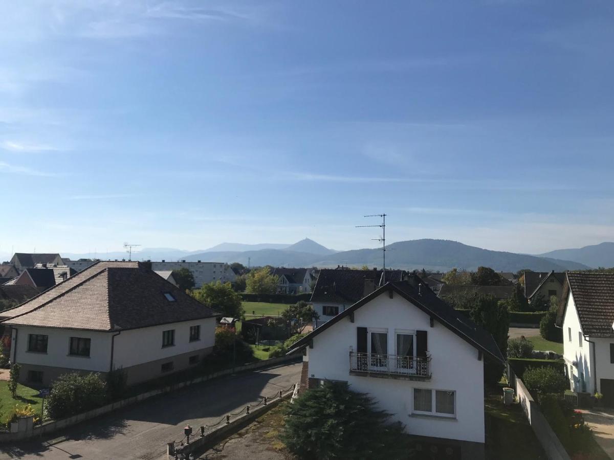 Appartement Chaleureux Et Lumineux Avec Vue ! Au Centre Alsace 셀레스탓 외부 사진