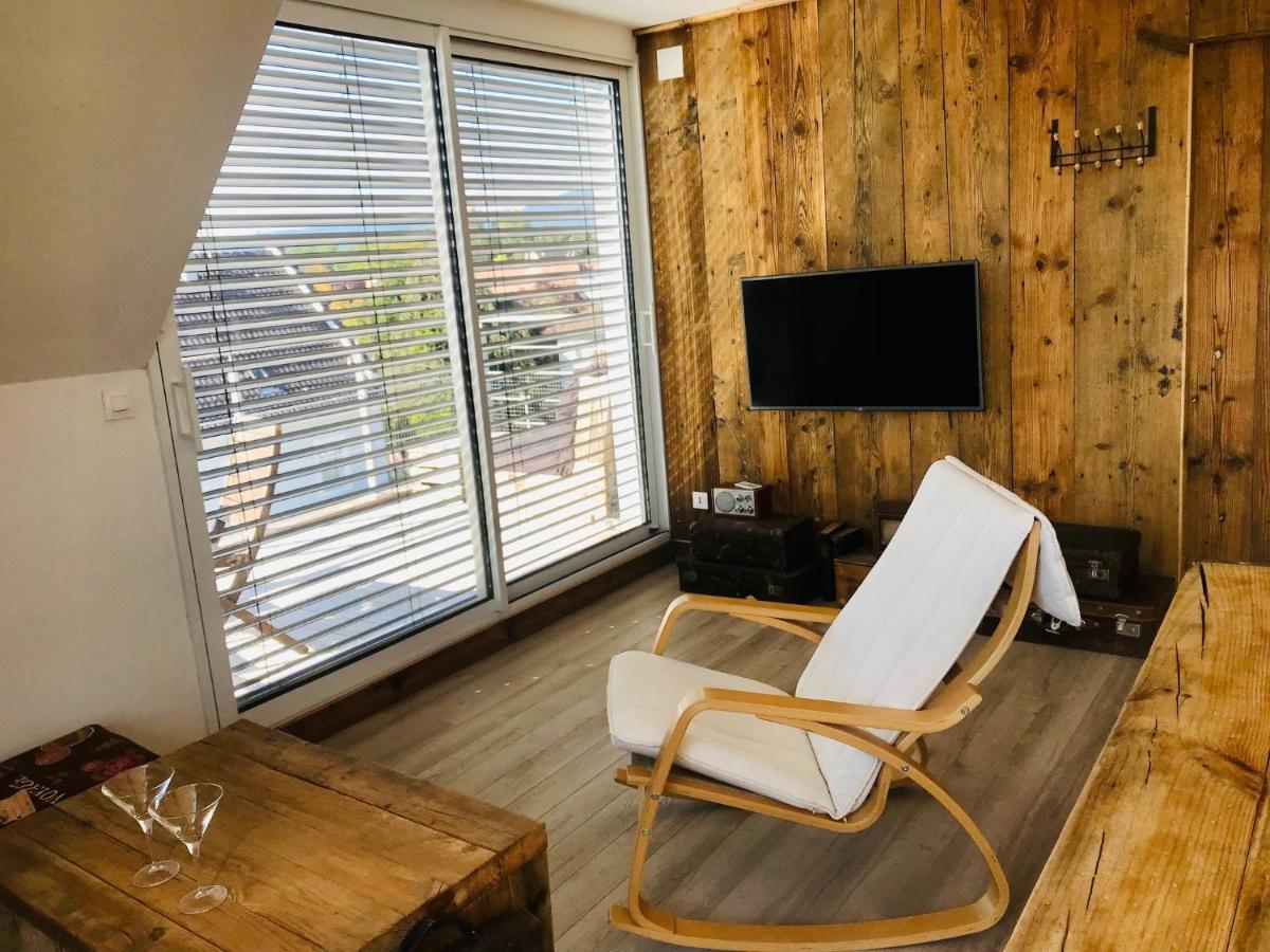 Appartement Chaleureux Et Lumineux Avec Vue ! Au Centre Alsace 셀레스탓 외부 사진