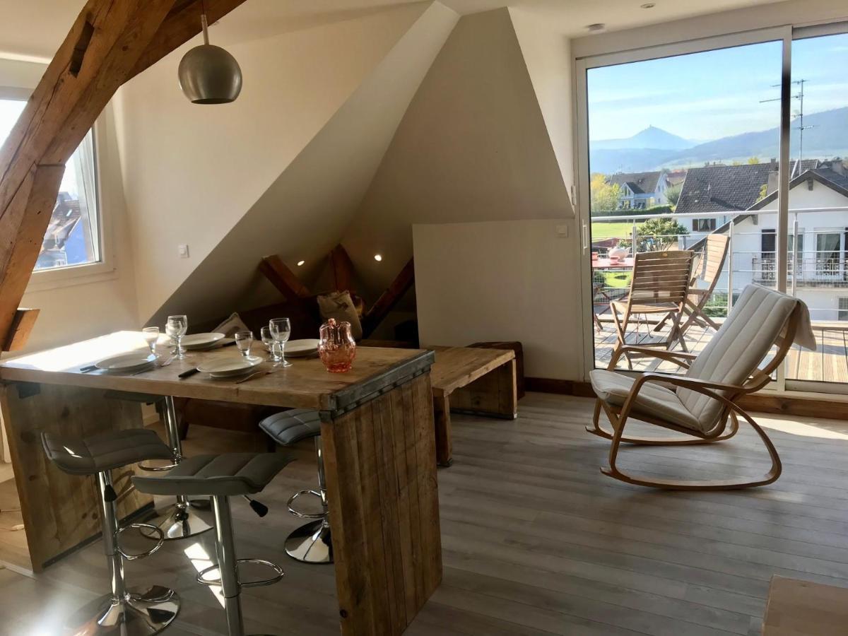 Appartement Chaleureux Et Lumineux Avec Vue ! Au Centre Alsace 셀레스탓 외부 사진