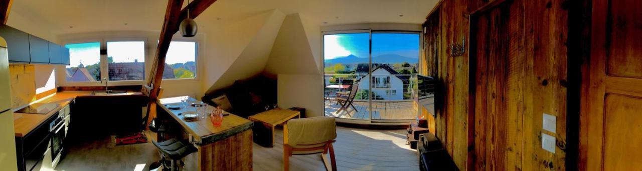 Appartement Chaleureux Et Lumineux Avec Vue ! Au Centre Alsace 셀레스탓 외부 사진