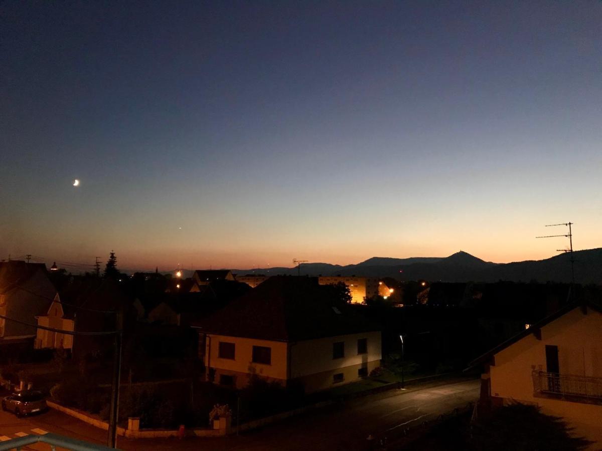 Appartement Chaleureux Et Lumineux Avec Vue ! Au Centre Alsace 셀레스탓 외부 사진